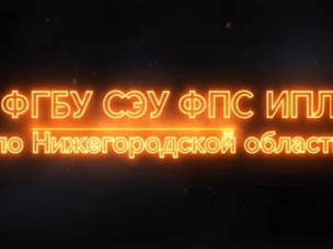 Опасная красота новогоднего неба: травмы, пожары и ответственность при запуске фейерверков