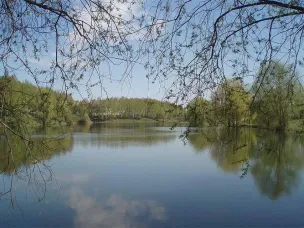 3 дня осталось до окончания голосования «Формирование комфортной городской среды»