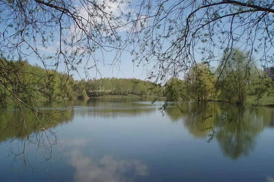 3 дня осталось до окончания голосования «Формирование комфортной городской среды»