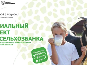 Маркетплейс «Своё Родное»