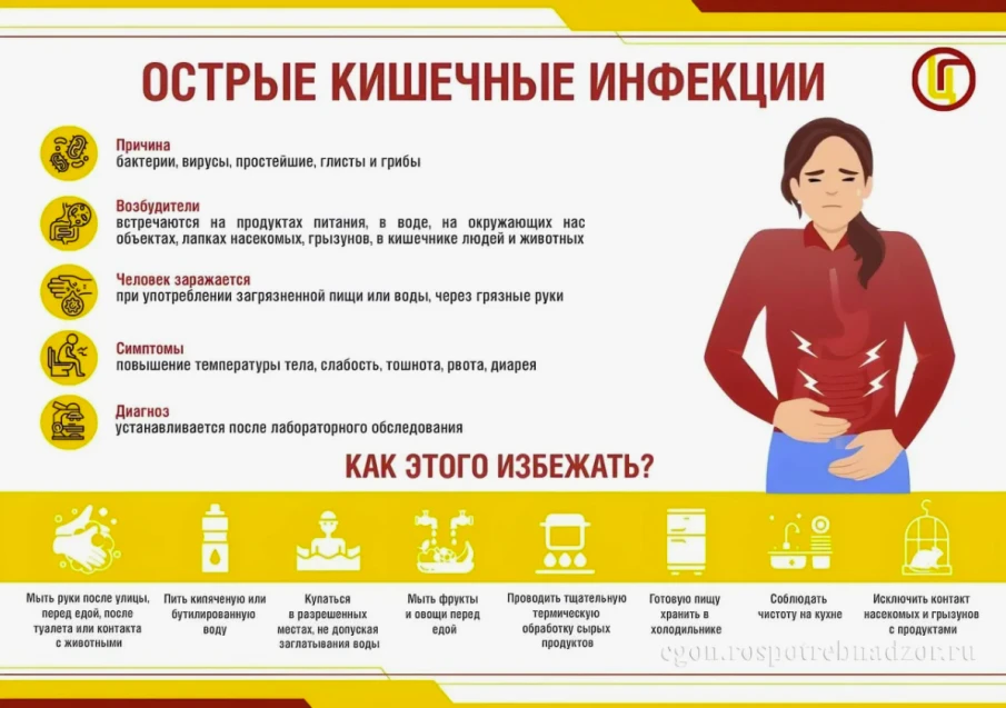 Роспотребнадзор делится рекомендациями по профилактике острых кишечных инфекций