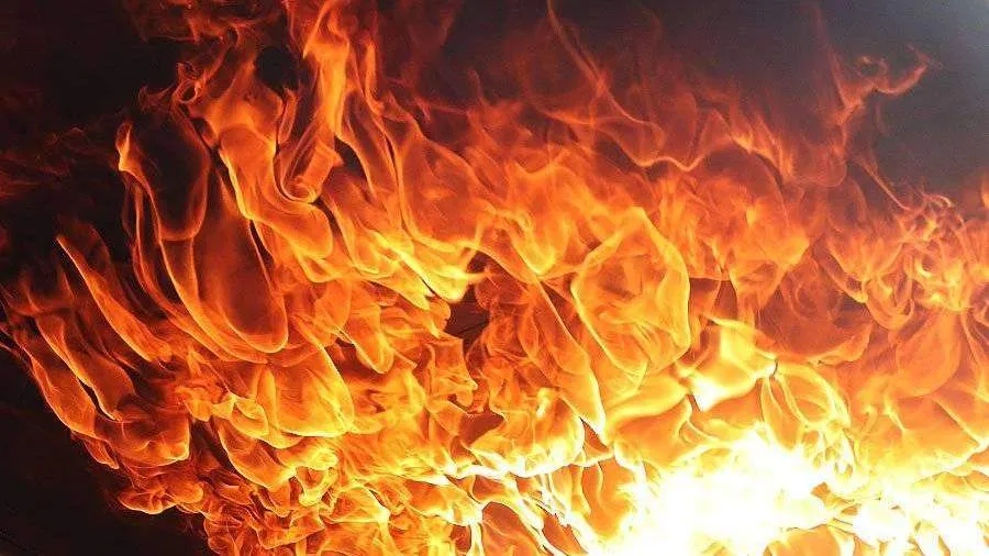 Трагедия в поселке Нижегородец: МЧС предупреждает об опасности нарушения правил пожарной безопасности