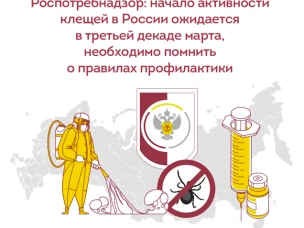 Начало активности клещей в России ожидается в третьей декаде марта