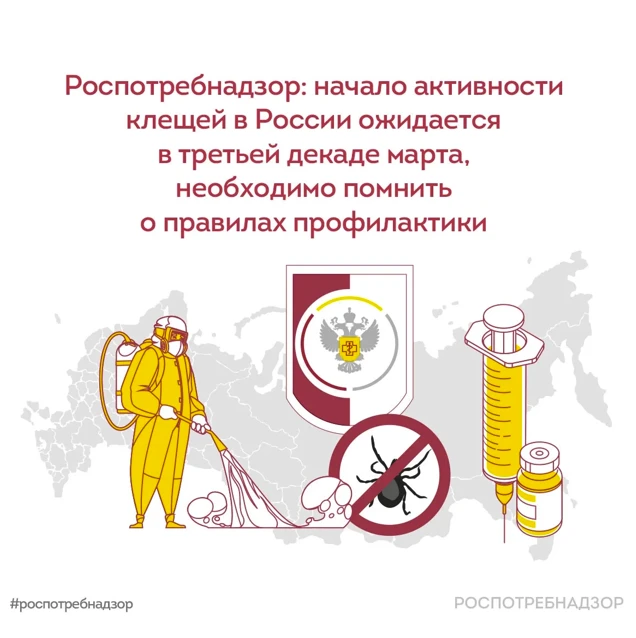 Начало активности клещей в России ожидается в третьей декаде марта