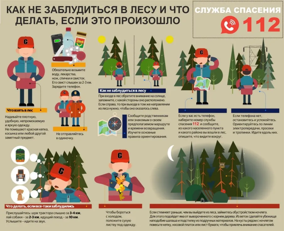 Несколько правил, которые помогут не заблудиться в лесу