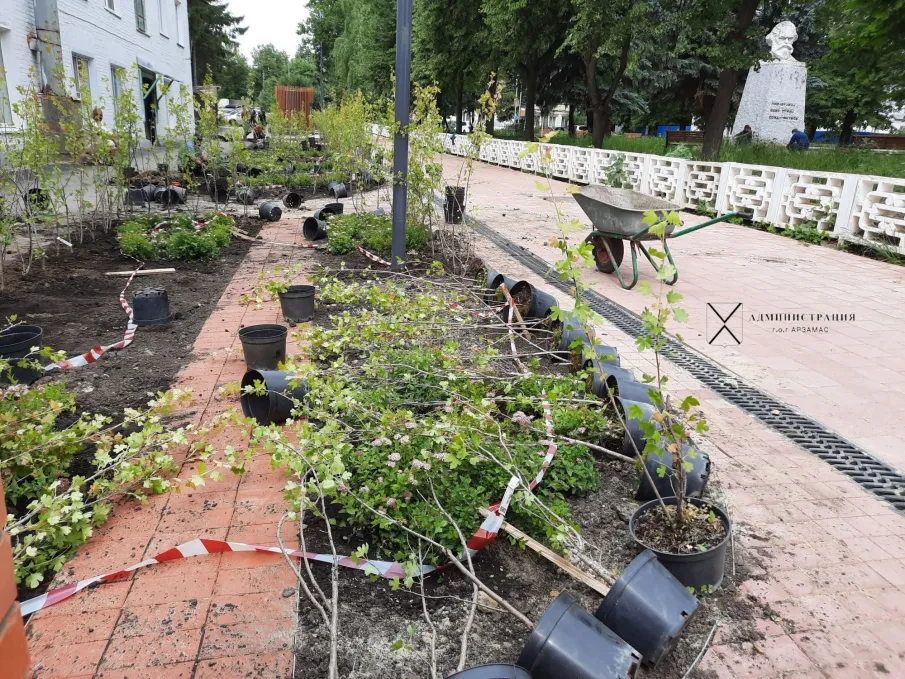 Продолжаются работы по озеленению улицы К.Маркса