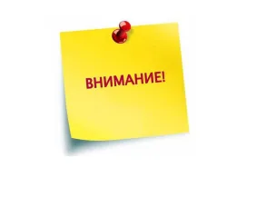 Содействие в адаптации трудовых мигрантов