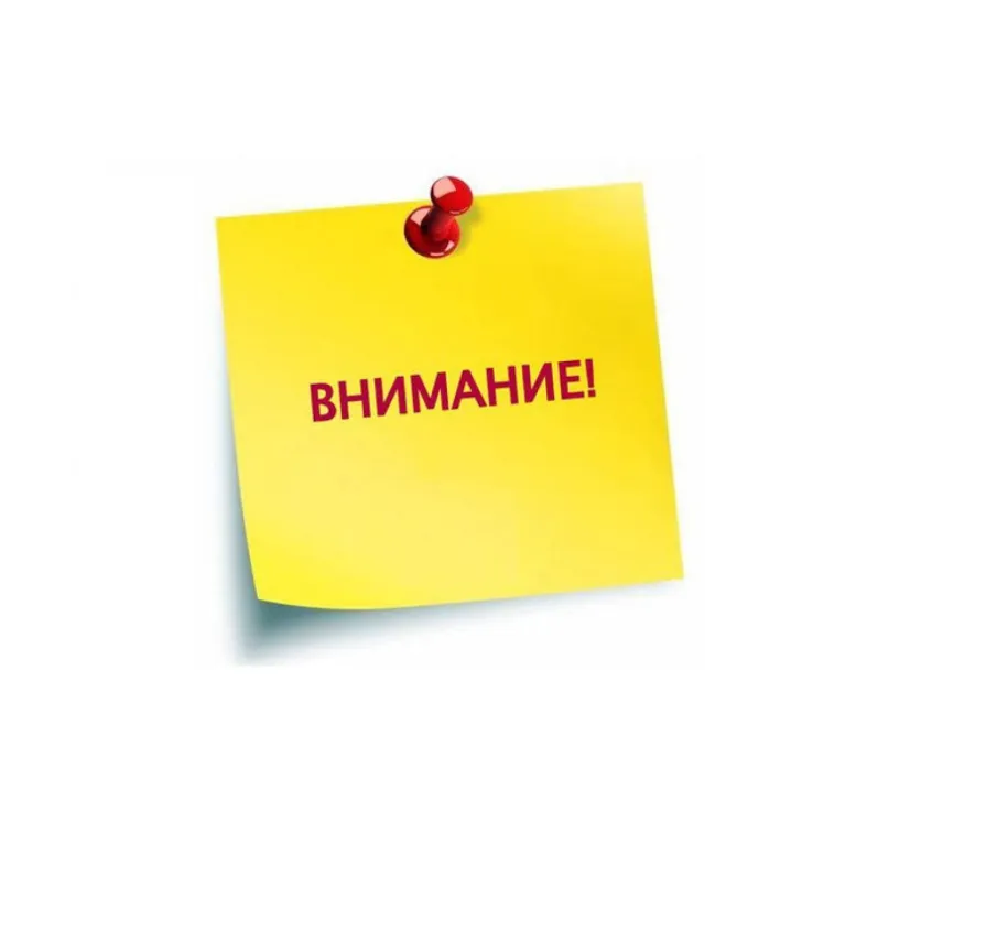 Содействие в адаптации трудовых мигрантов