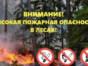 Ожидается чрезвычайная (5 класс) пожароопасность лесов и торфяников