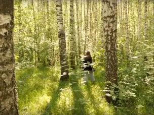 Увидеть лес и не потеряться