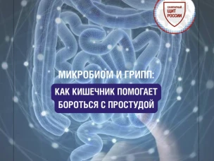 Как кишечник помогает бороться с простудой