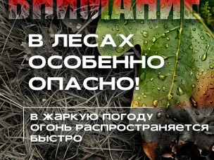 Нижегородский Минлесхоз напоминает о важности соблюдения правил пожарной безопасности в лесах