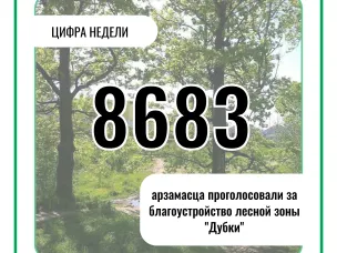 Лидером голосования по проекту «Формирование комфортной городской среды» стала территория лесной зоны Дубки в районе ФОК «Звездный»