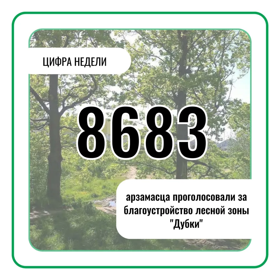 Лидером голосования по проекту «Формирование комфортной городской среды» стала территория лесной зоны Дубки в районе ФОК «Звездный»