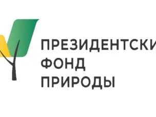 С 1 сентября 2025 года стартует второй конкурс Президентского фонда экологических и природоохранных проектов