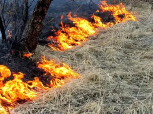 Защитите свою территорию от пожаров!