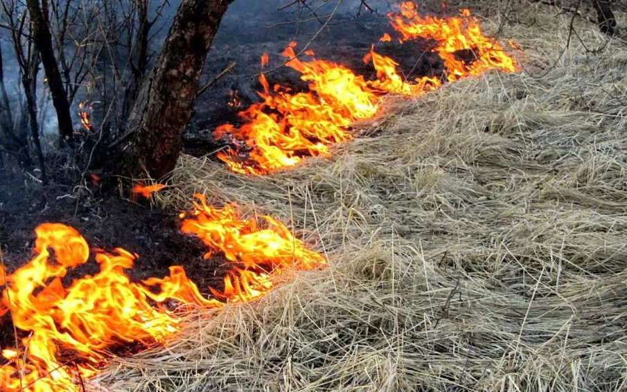 Защитите свою территорию от пожаров!