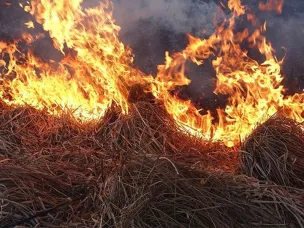 В Нижегородской области участились случаи горения сухой травы