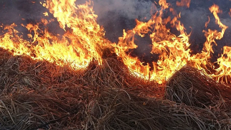 В Нижегородской области участились случаи горения сухой травы