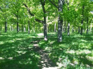 Напоминаем, что голосование в рамках проекта «Формирование комфортной городской среды» закончится уже через неделю!