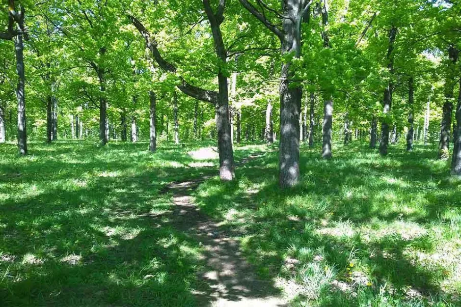 Напоминаем, что голосование в рамках проекта «Формирование комфортной городской среды» закончится уже через неделю!