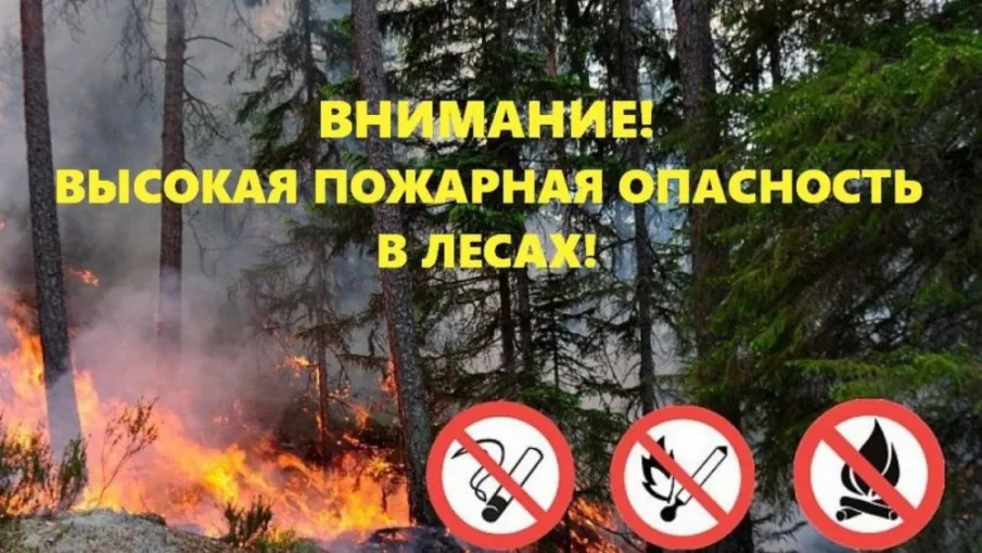 Ожидается высокая (4 класс) пожароопасность лесов и торфяников