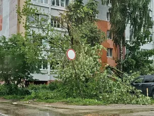Осадков за выходные выпало почти втрое больше десятидневной нормы