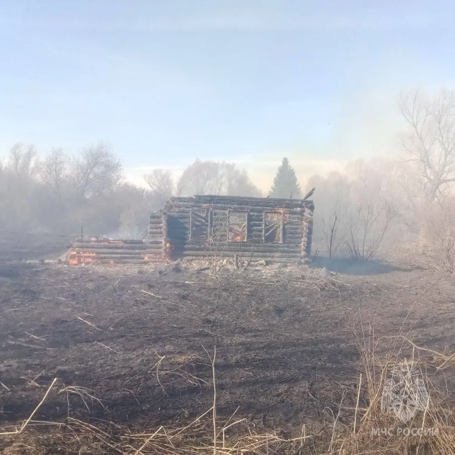 В Нижегородской области с начала весны составлено 106 протоколов за поджоги травы