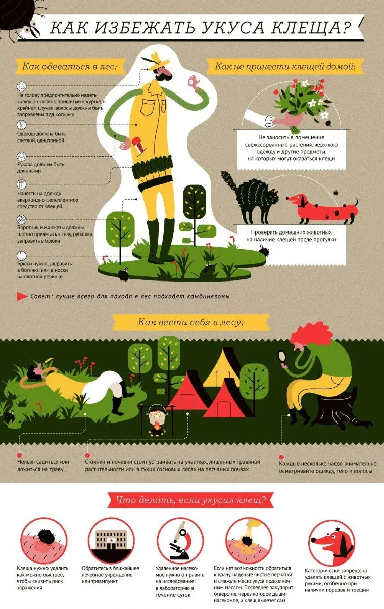 Информацией о клещевом вирусном энцефалите и мерами его профилактики делится территориальный отдел Роспотребнадзора