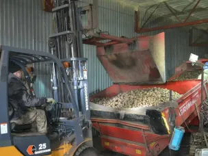 В Абрамове заработал первый в регионе агроагрегатор