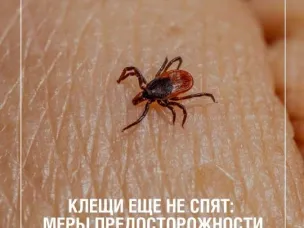 Клещи еще не спят: меры предосторожности
