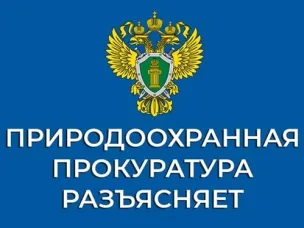 Нижегородская межрайонная природоохранная прокуратура разъясняет