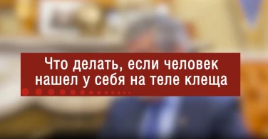 Что делать после укуса клеща