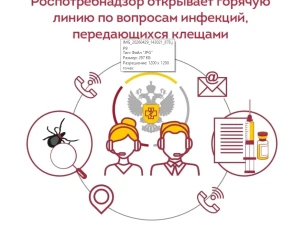 С 27 апреля по 10 мая Роспотребнадзор проведет Всероссийскую горячую линию по вопросам профилактики клещевого вирусного энцефалита