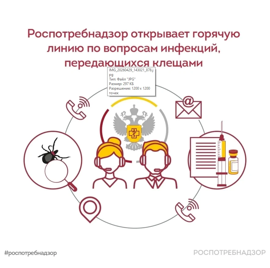 С 27 апреля по 10 мая Роспотребнадзор проведет Всероссийскую горячую линию по вопросам профилактики клещевого вирусного энцефалита