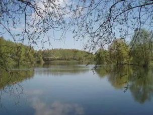 Территория Смирновского пруда стала лидером по итогам голосования по проекту «Формирование комфортной городской среды 2024»