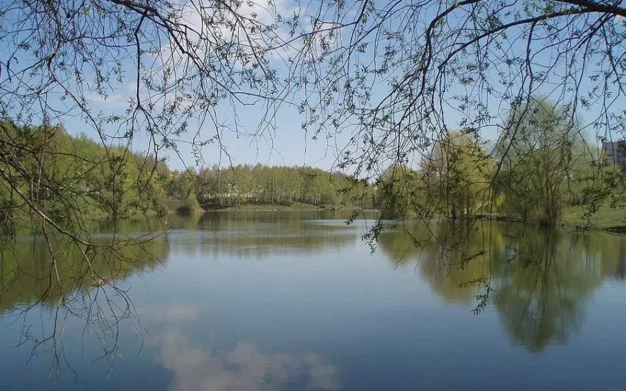 Территория Смирновского пруда стала лидером по итогам голосования по проекту «Формирование комфортной городской среды 2024»