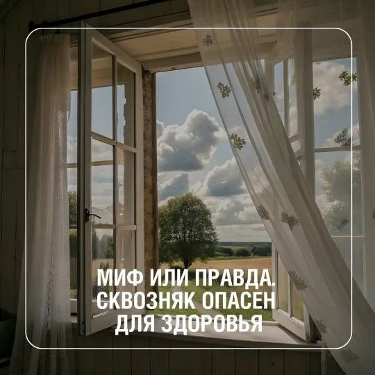 Миф или правда. Сквозняк опасен для здоровья