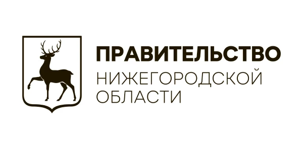 Внесены изменения в постановление Правительства Нижегородской области о соцвыплате компенсационных расходов, связанных с приобретением  газового оборудования