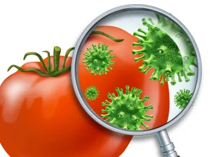 О профилактике пищевых отравлений и инфекционных болезней, передающихся с пищей