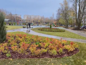 «Зеленый остров»: действительно зеленый