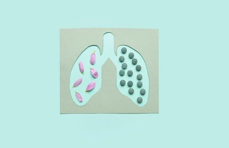 Какие виды пневмонии существуют? Можно ли сказать, что какие-либо из них более опасны для человека?