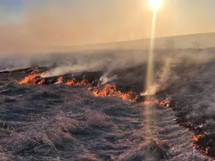 С наступлением тёплой погоды палы сухой травы становятся настоящим бедствием