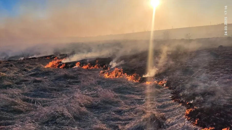 С наступлением тёплой погоды палы сухой травы становятся настоящим бедствием