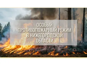 С 30 апреля в Нижегородской области действует ОСОБЫЙ ПРОТИВОПОЖАРНЫЙ РЕЖИМ