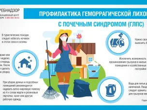 О профилактике геморрагической лихорадки с почечным синдромом (ГЛПС)