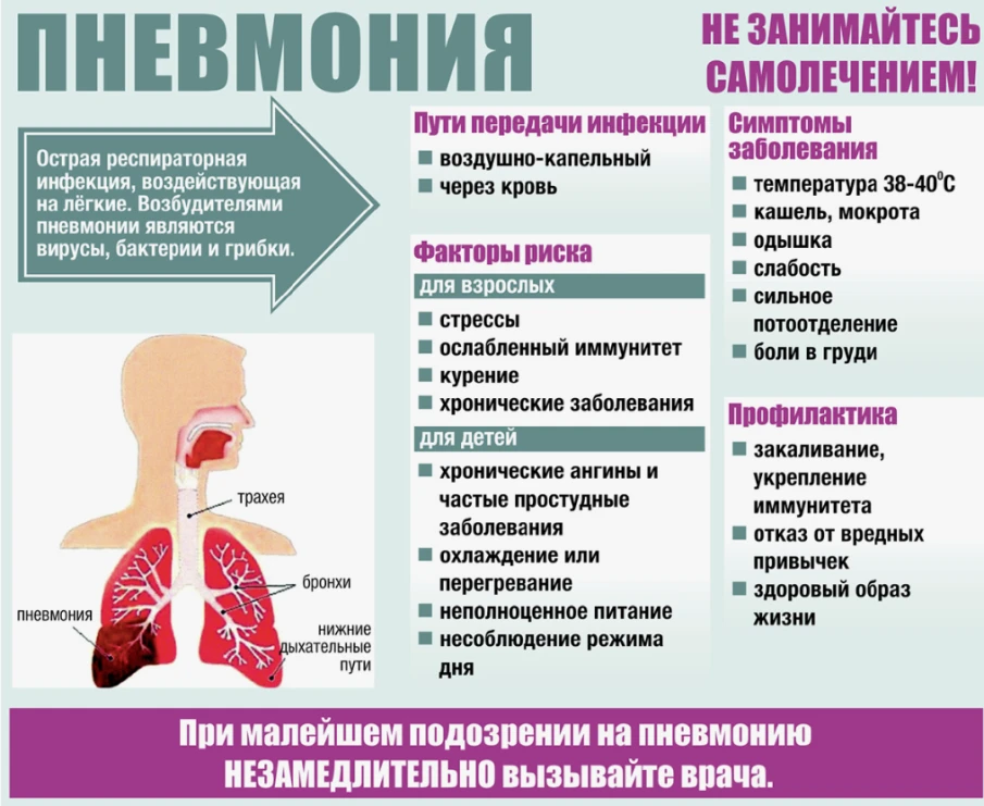 Как распознать и предупредить пневмонию