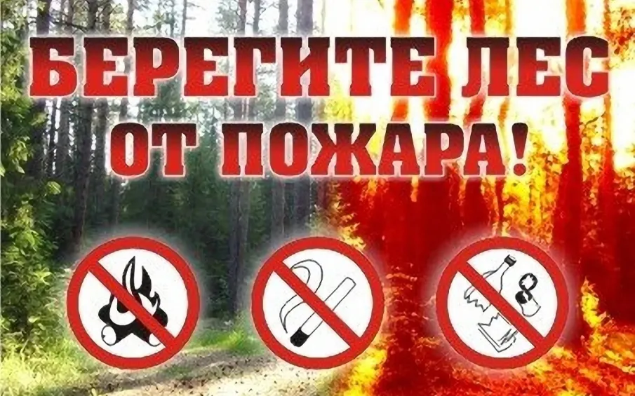 Сохраняется пожароопасность лесов и торфяников