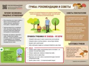 Как избежать отравления грибами: правила сбора и покупки
