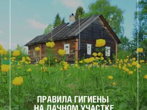 Основные правила гигиены, которые помогут сделать отдых за городом безопасным